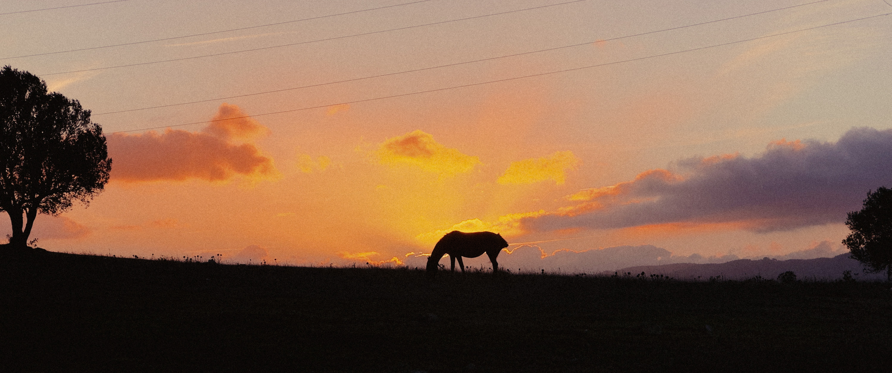 Sunset at Fábrica da Pólvora